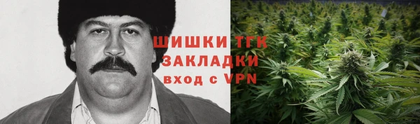 Альфа ПВП Няндома