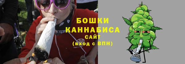 Альфа ПВП Няндома