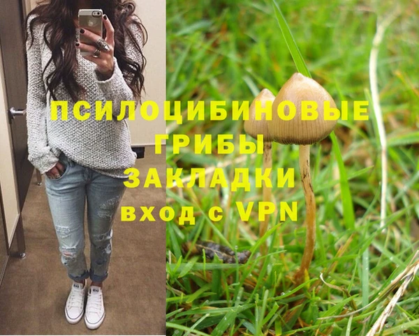 стаф Ростов
