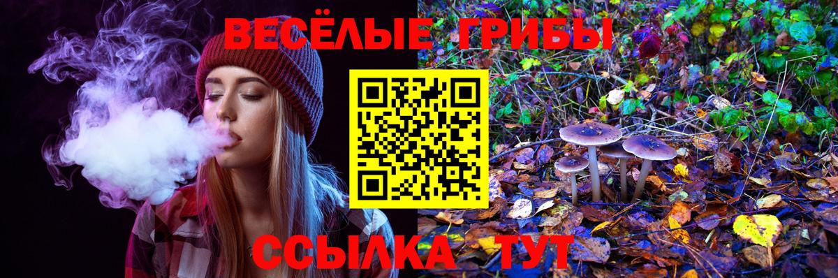 Алапаевск  Псилоцибиновые грибы мухоморы  Вход с VPN 